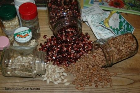 Seeds:  How Many Do You Need? Image